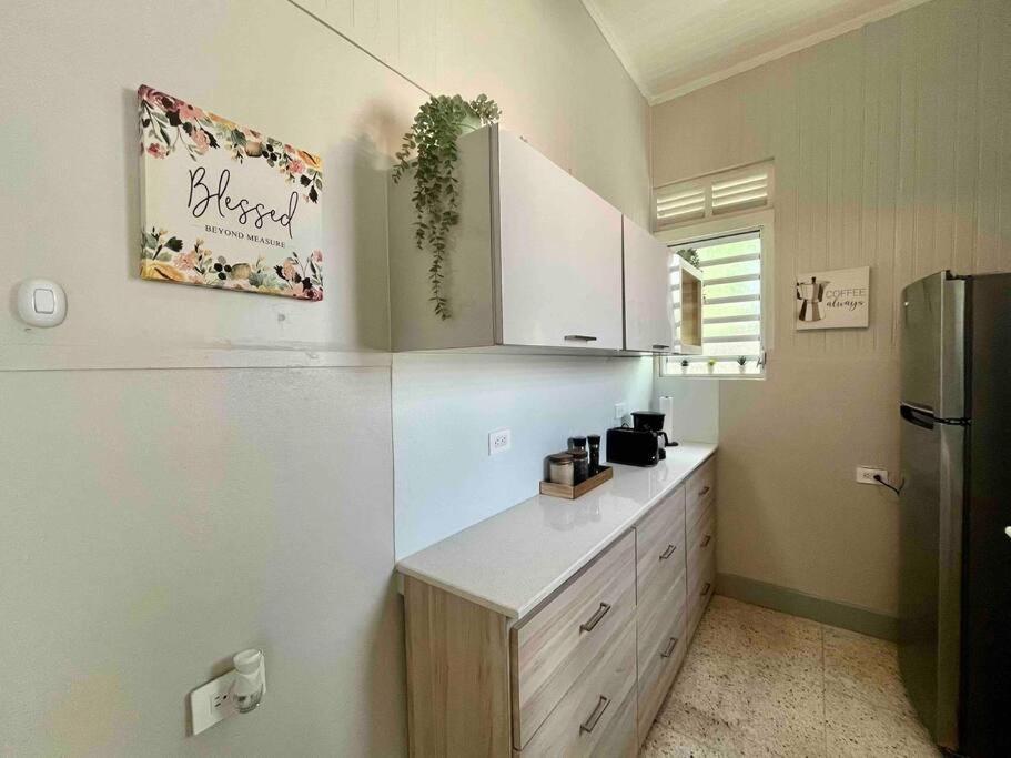 New! Antique House At Ponce Villa Ngoại thất bức ảnh